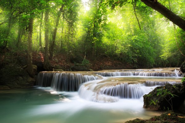 Красивая природа