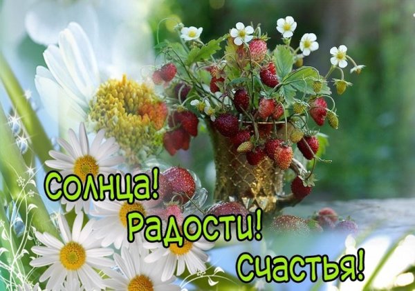 С добрым летним утром субботы