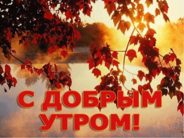 Отличного солнечного осеннего дня
