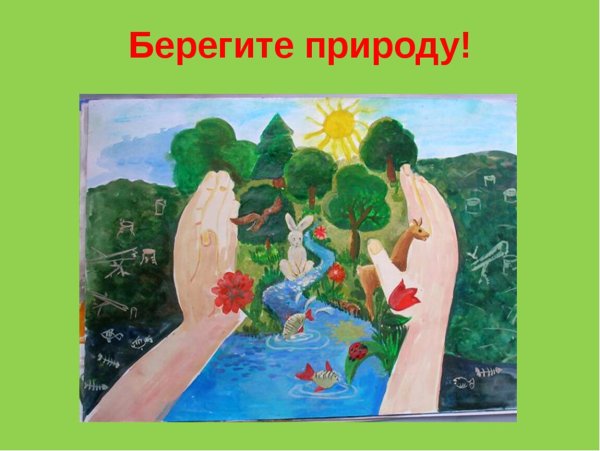 Береги природу для детей