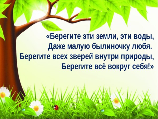 Охранять природу значит охранять