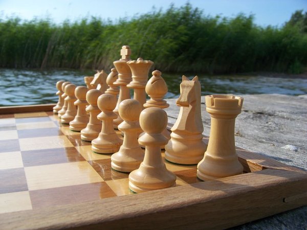 Фигуры в шахматах