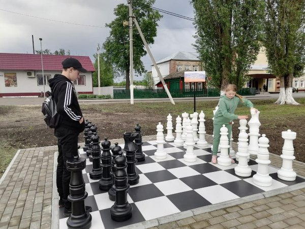 Шахматы в саду
