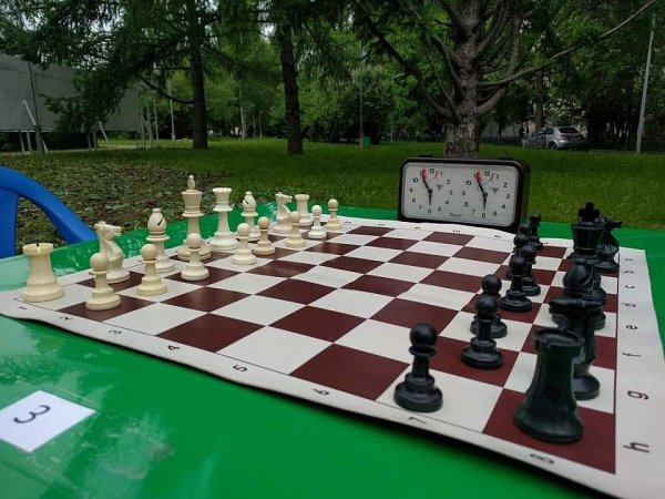 Шахматная доска с фигурами