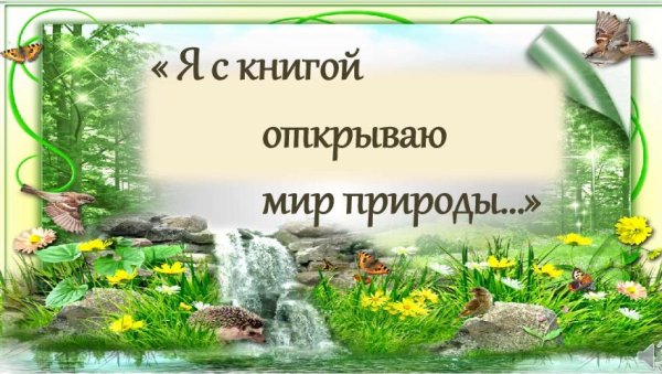 Раскрытая книга