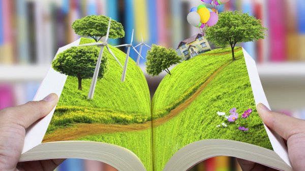 Лето книга фон