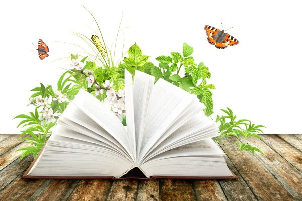 Я С книгой открываю мир
