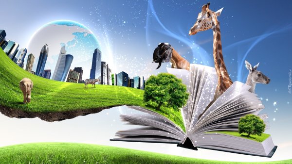Лето с книгой
