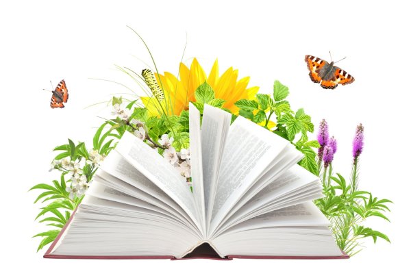 Я С книгой открываю мир рисунок