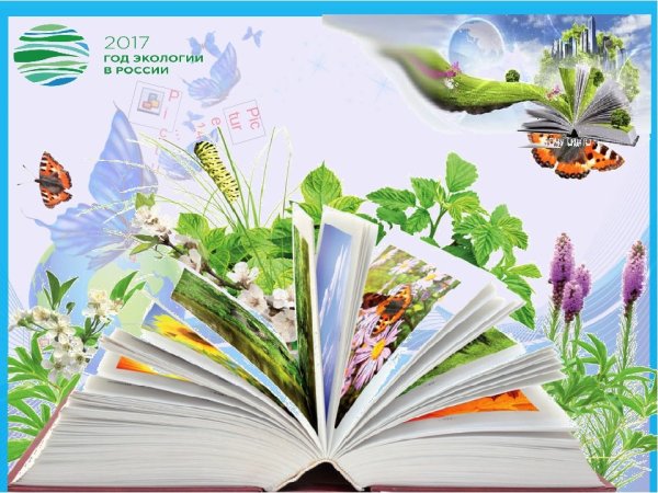 Лето с книгой