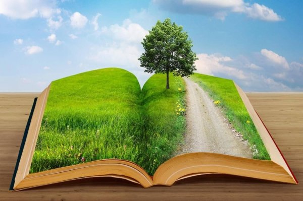 Книжная выставка о природе