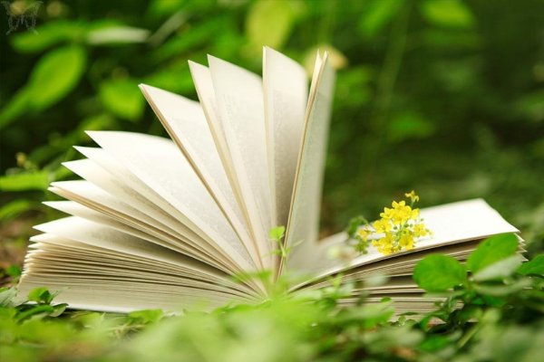 Книга цветы