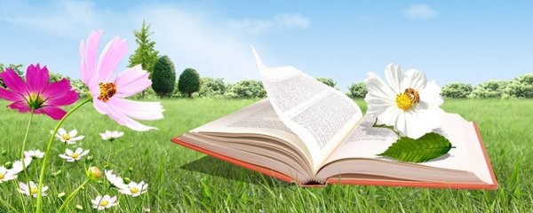 Плакаты для библиотеки