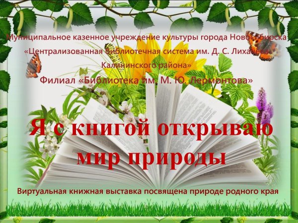 Жива і нежива природа