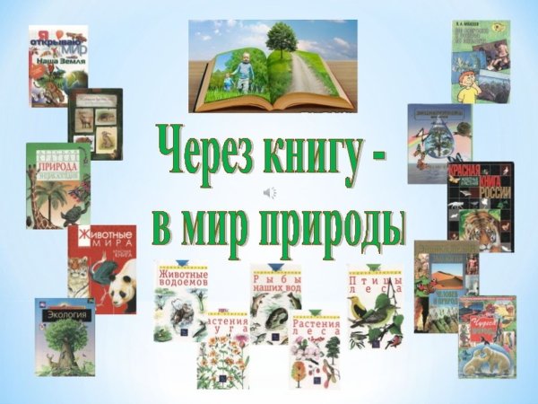 Книга на фоне природы