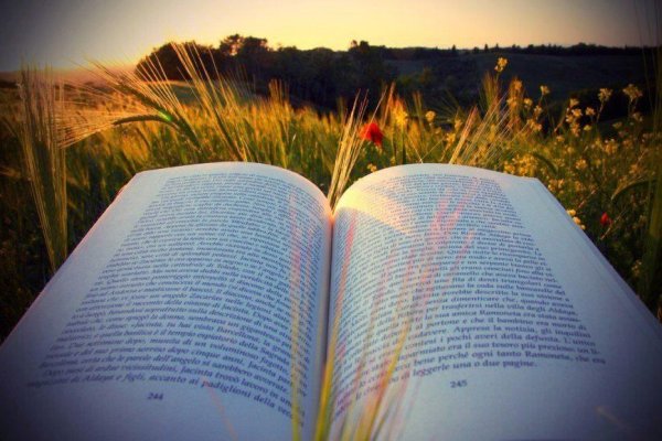 Книги про лето для детей