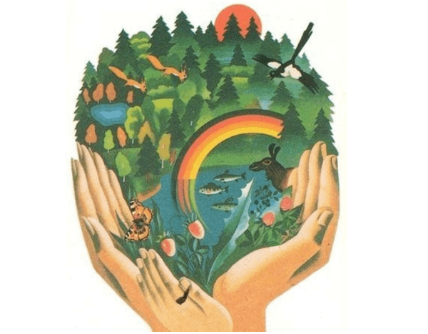 Рисунок берегите растения