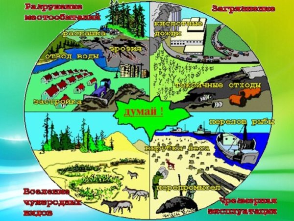 Экологический кризис