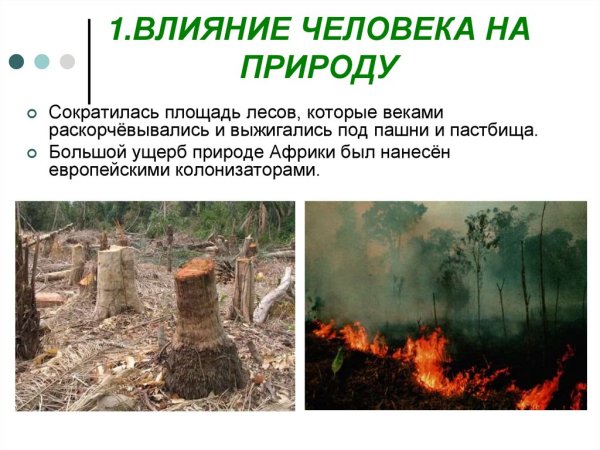 Влияние экологии на природу и человека
