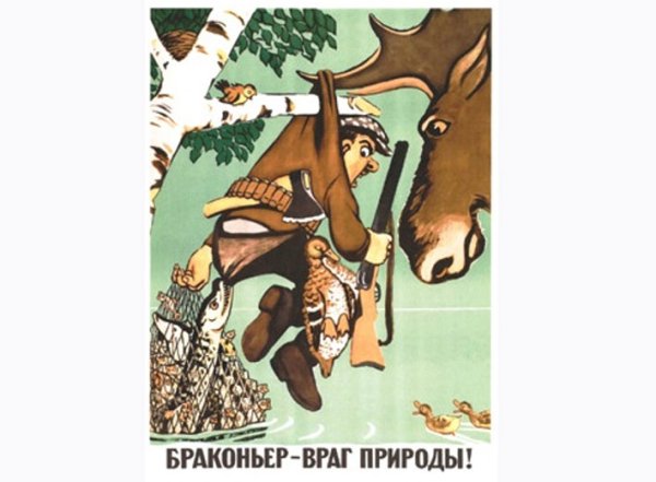Браконьер враг природы