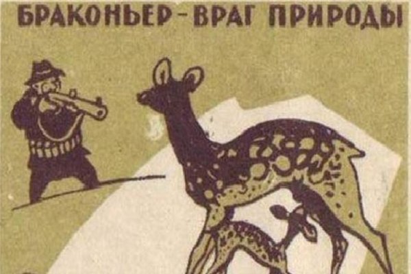 Спичечные этикетки браконьер враг природы