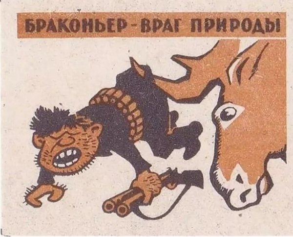 Рисунок на тему браконьерство