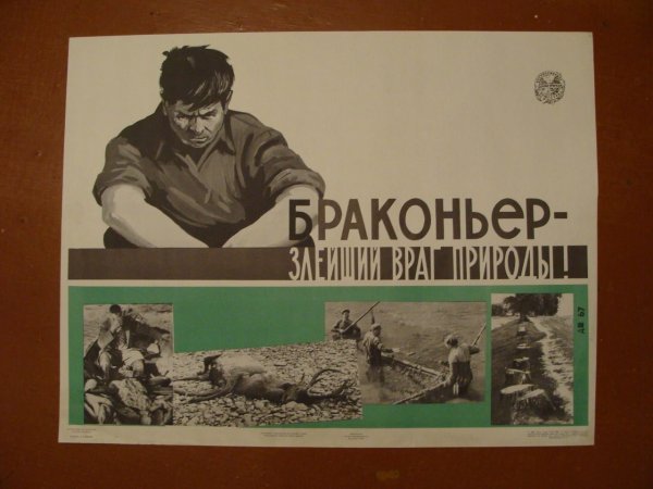 Плакат против браконьеров