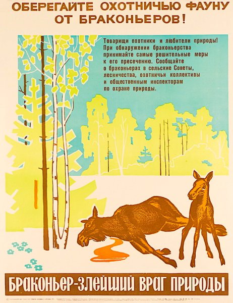 Браконьерство плакат