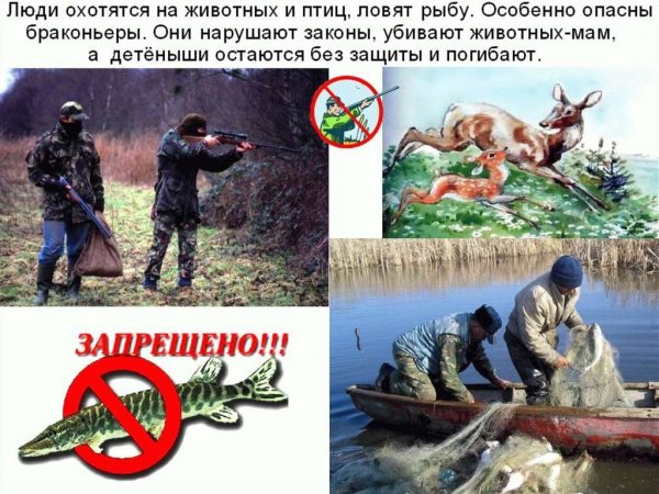 Охотник убегает от медведя