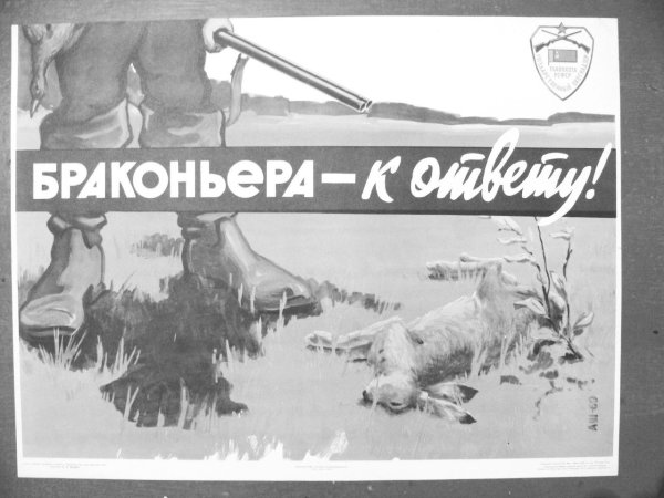 Браконьерство в СССР