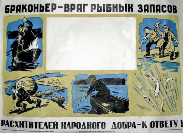 Рисунок на тему браконьер враг природы
