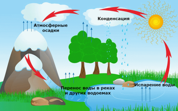 Схематическое изображение круговорота воды в природе