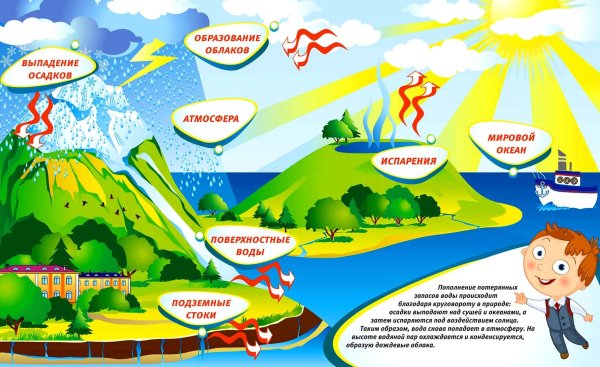 Схема круговорота воды в природе для дошкольников