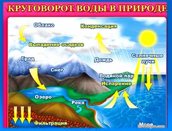Круговорот воды вприроле