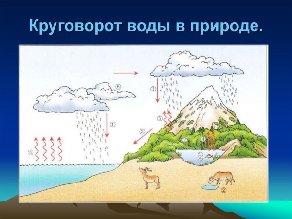 Круговорот воды в природе