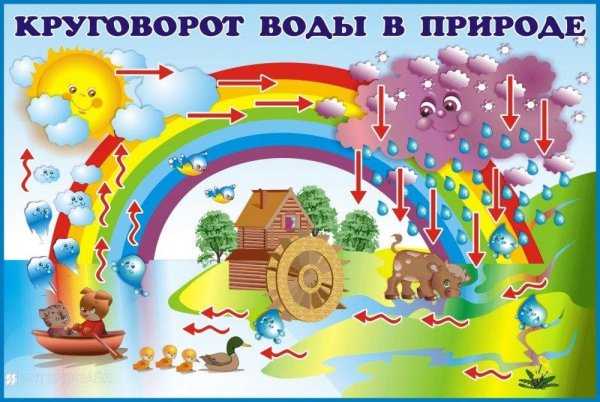 Круговорот веды в природе