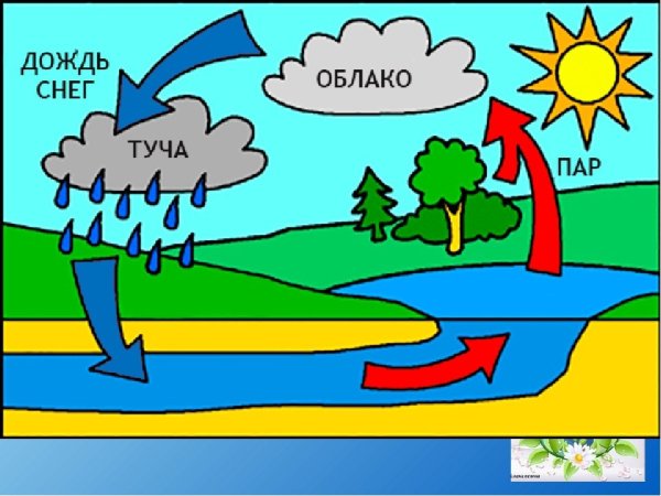 Схема круговорота воды в природе для дошкольников