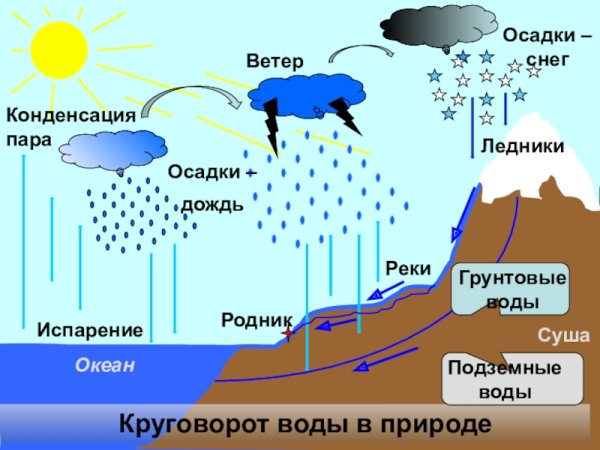 Сообщение мировой круговорот воды в природе