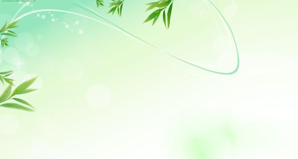 Фон для презентации бамбук