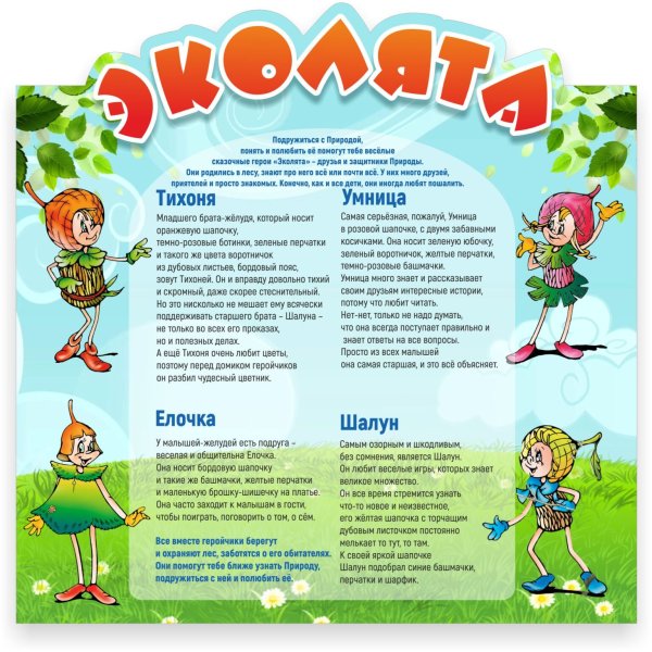 Эколята занятие средняя группа