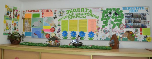 Эколята молодые защитники природы