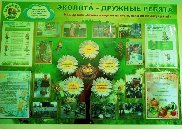 Проект Эколята дошколята
