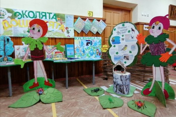 Проект Эколята дошколята
