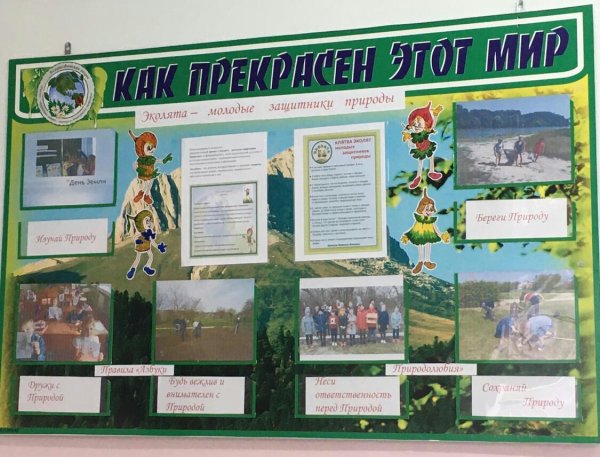 Эколята стенд в школе