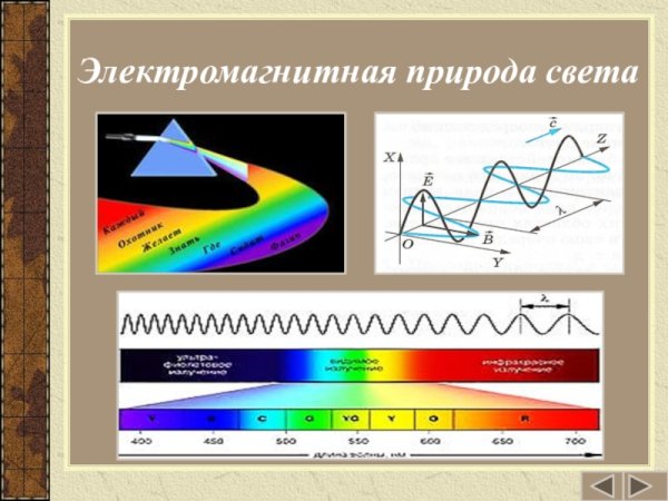 Электромагнитная теория света физика