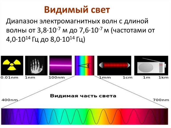 Квантовые частицы