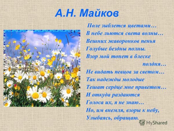 Аполлон Майков поле зыблется