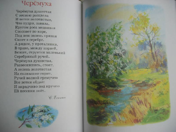 Стихи русских поэтов