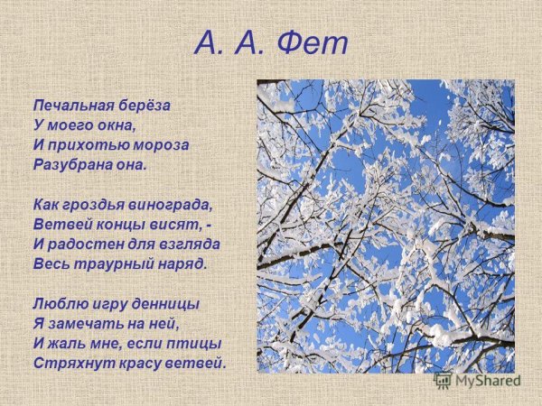 Афанасий Фет печальная береза