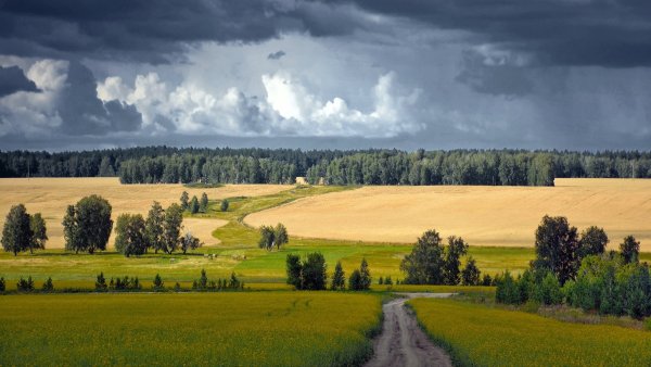 Природа Курганской области